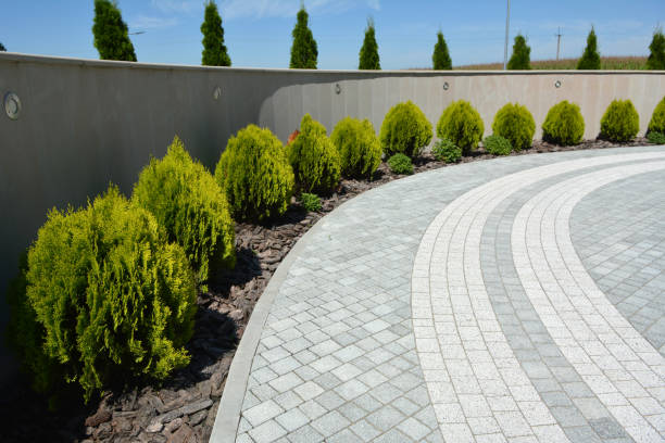  Bolinas, CA Driveway Pavers Pros